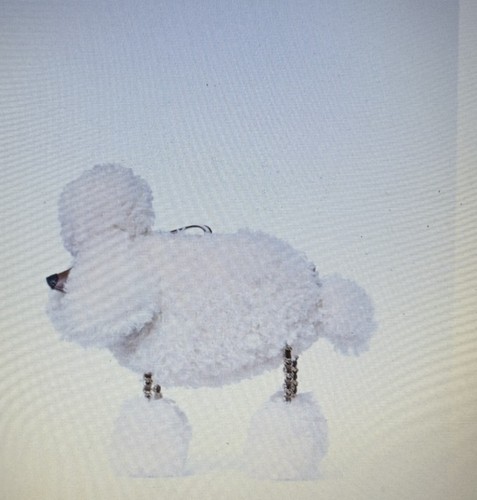 Kate spade dottie poodle - spade,